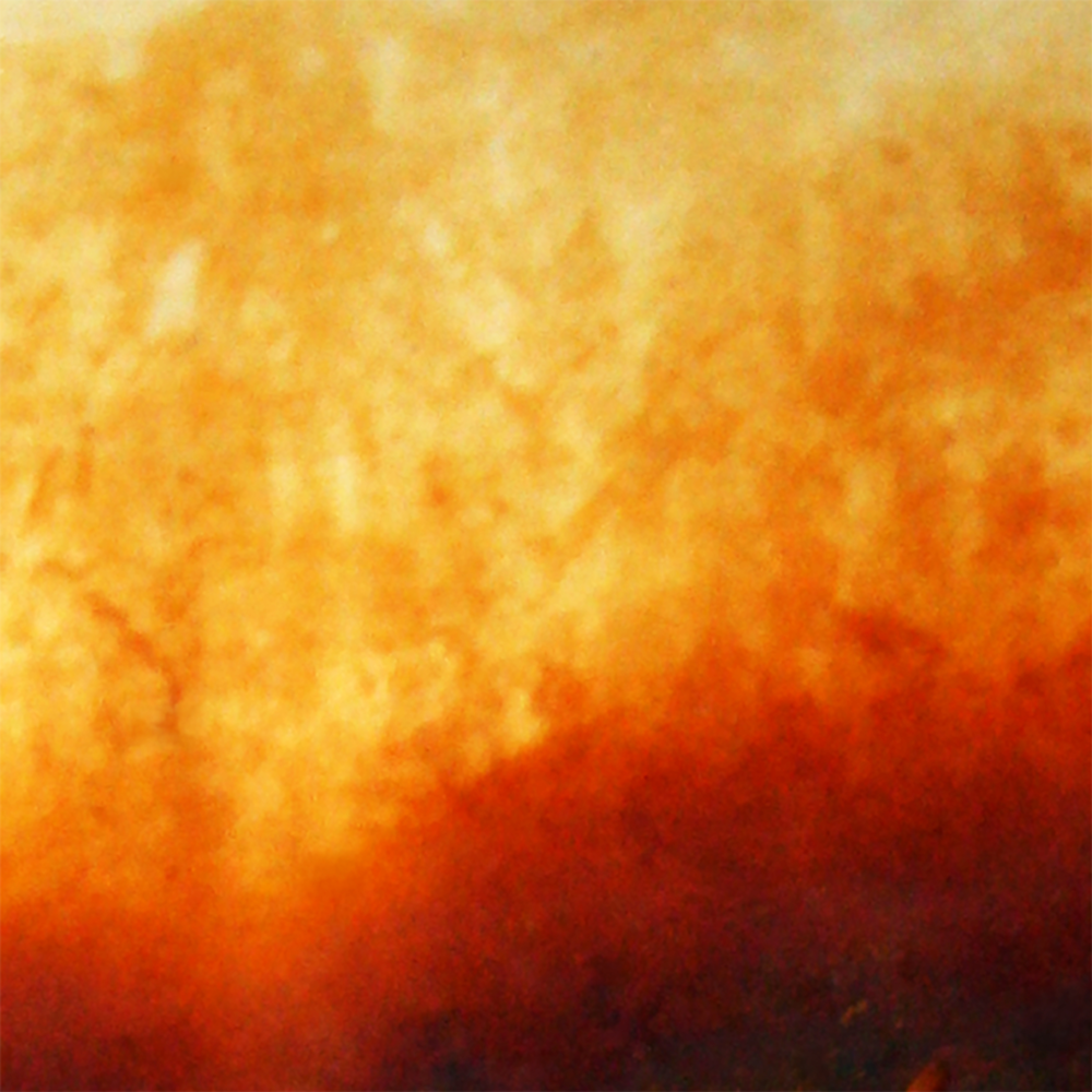 Untitled (Study In Orange) II